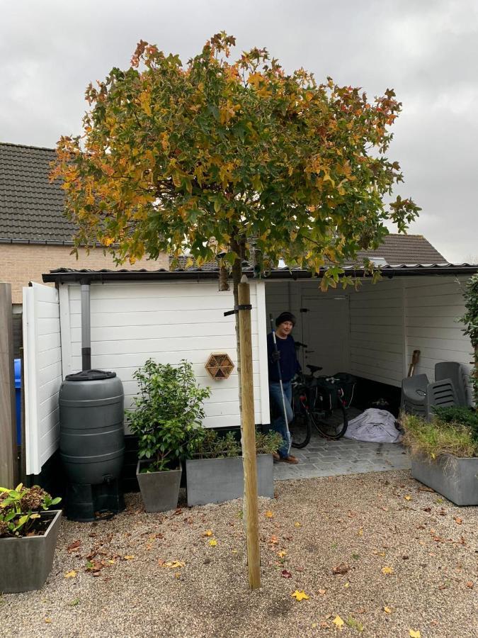 Hébergement de vacances Next Do